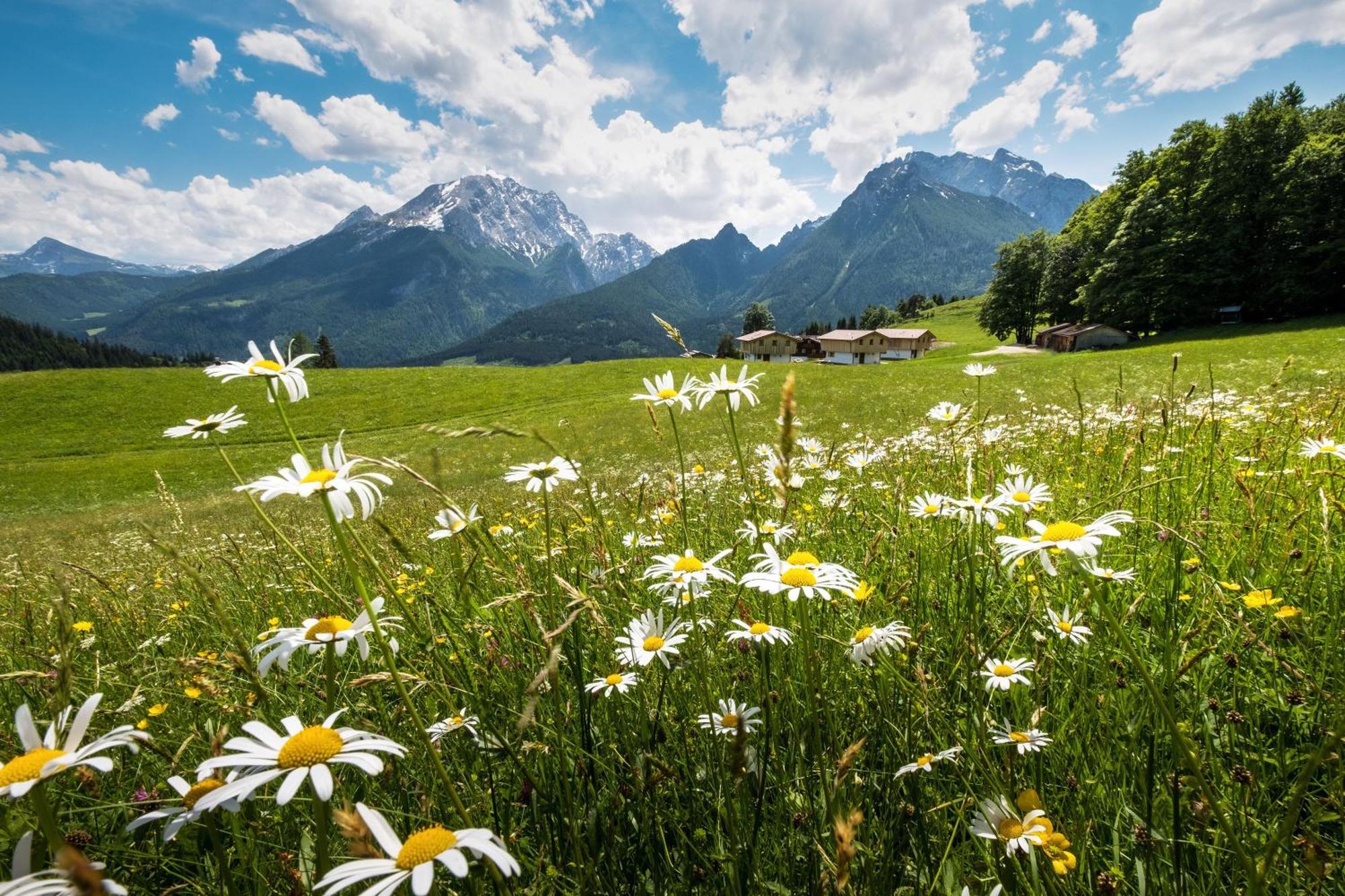 Ettlerlehen Chalets Ramsau bei Berchtesgaden Exterior foto